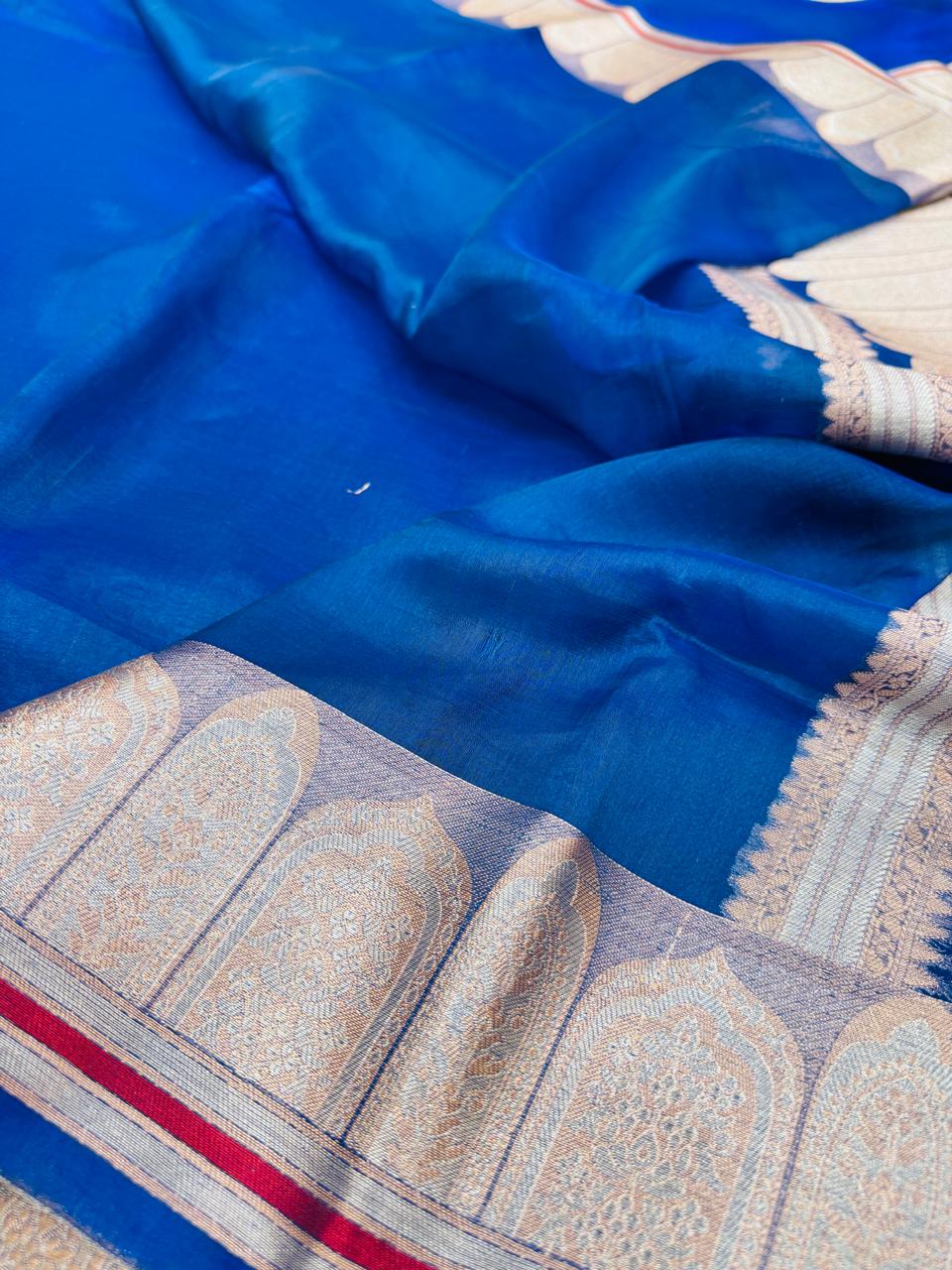 Pure Banarasi Tissue Silk Saree