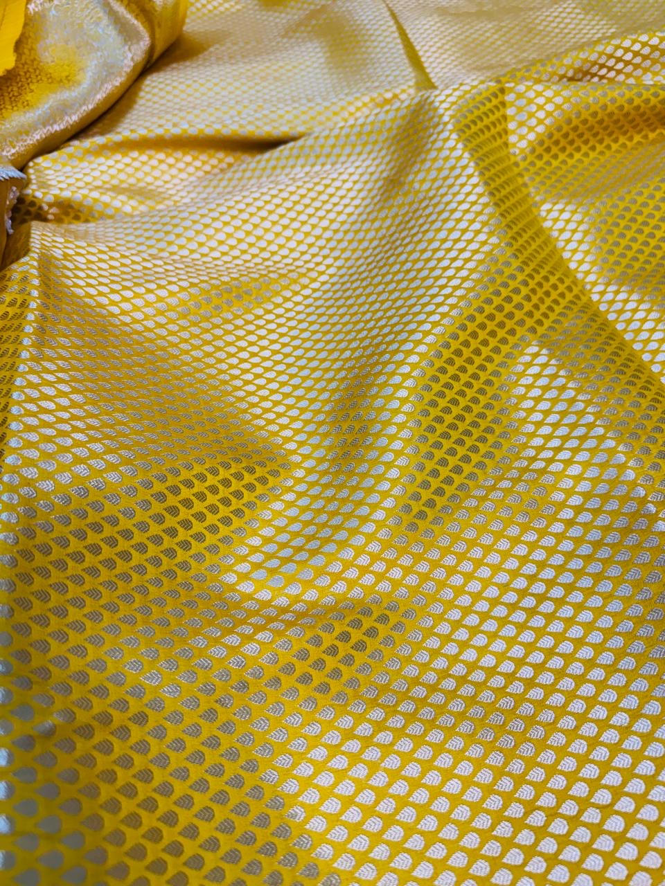 Pure Banarasi Chiniya Tissue Brocade Saree