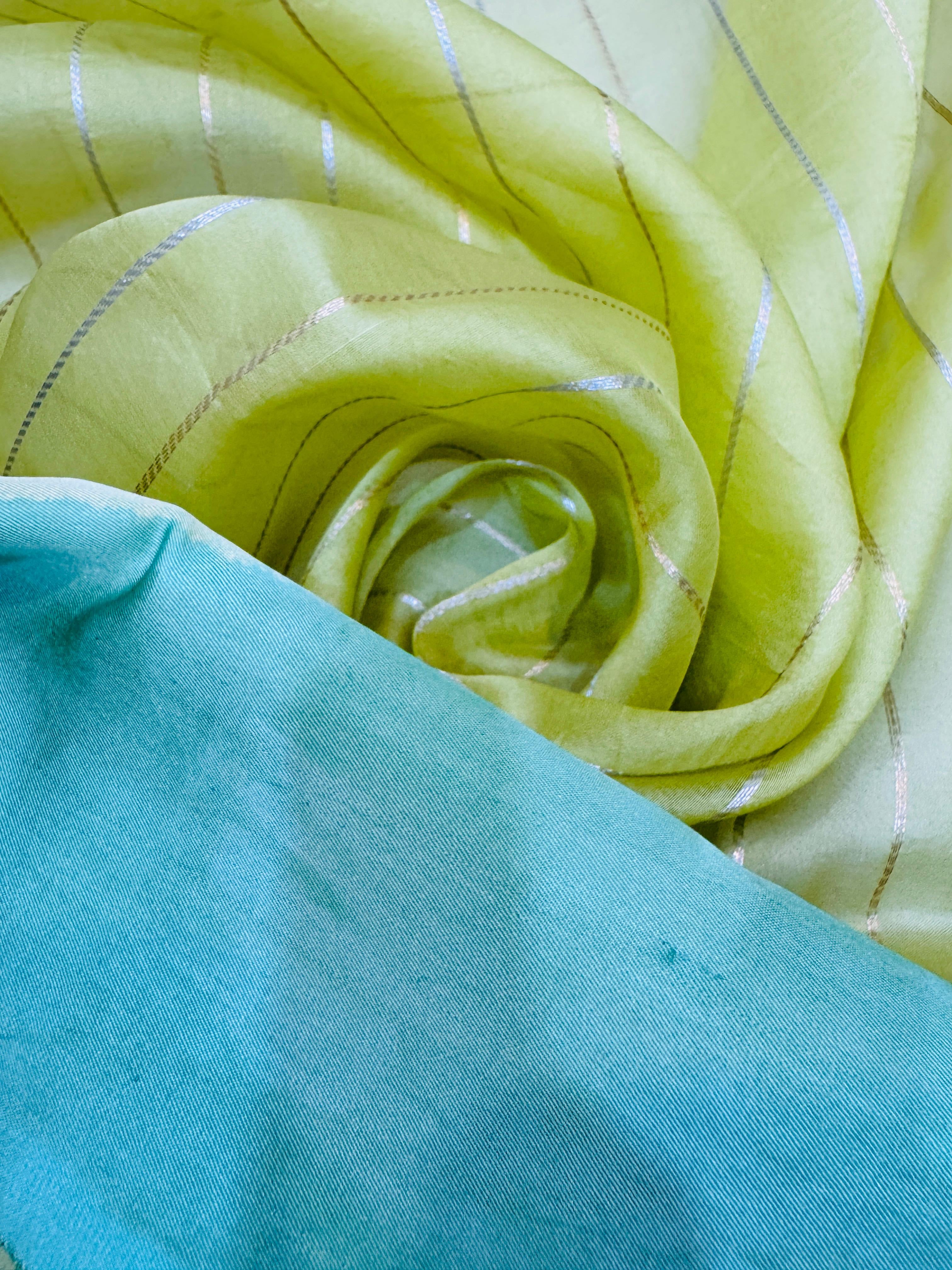 Pure Banarasi Organza Silk Satin Border Saree
