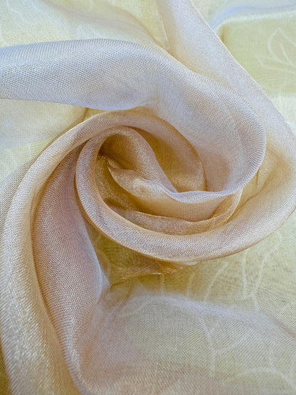 Pure Banarasi Kora Tissue Silk Applique Work Saree