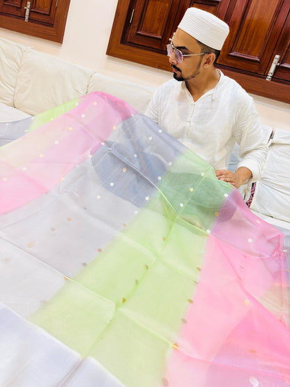 Pure Banarasi Organza Silk Half and Half Saree