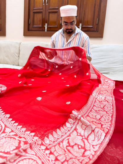 Pure Banarasi Khaddi Chiffon Saree
