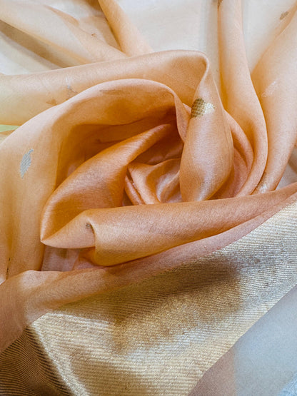 Pure Banarasi Organza Silk Rangkaat Half and Half Saree