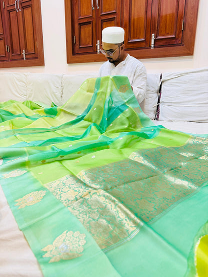 Pure Banarasi Organza Silk Satin Border Saree