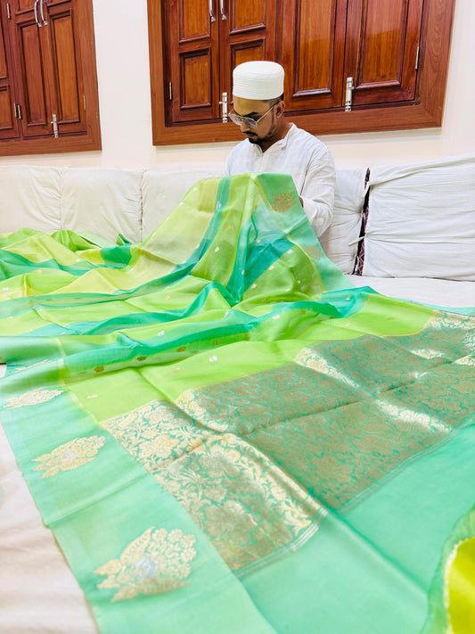 Pure Banarasi Organza Silk Satin Border Saree