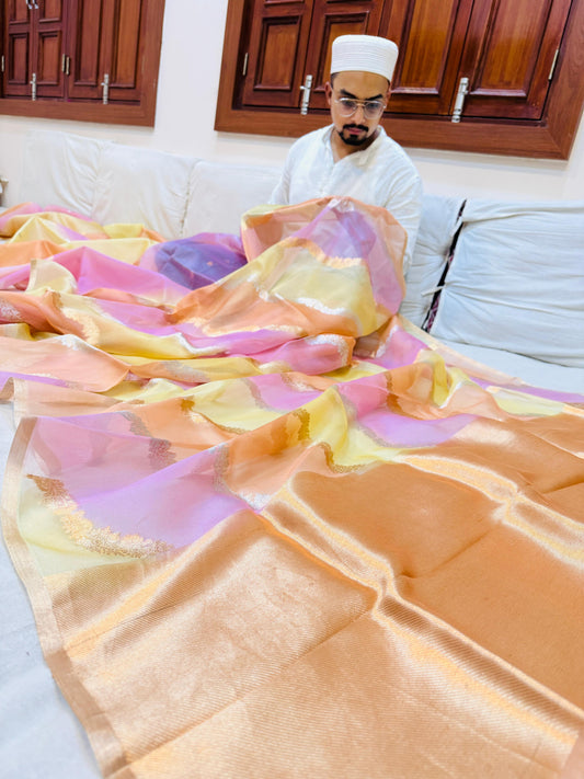 Pure Banarasi Organza Silk Rangkaat Half and Half Saree