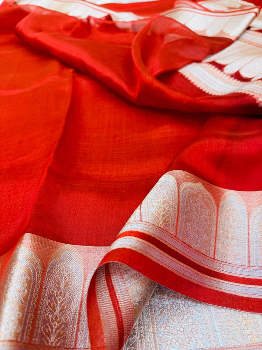 Pure Banarasi Tissue Silk Saree
