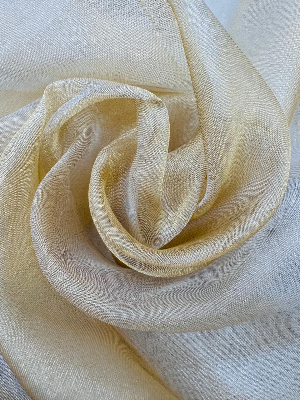 Pure Banarasi Tissue Silk Strips Sarees With Applique Work
