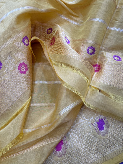 Pure Banarasi Katan Tissue Silk Kadiyal Border Saree