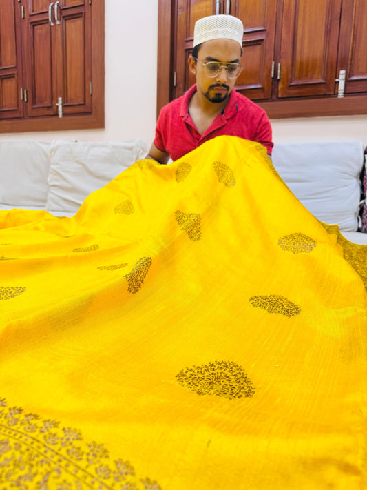 Pure Banarasi Raw Silk Saree