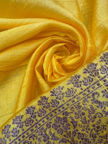 Pure Banarasi Raw Silk Saree