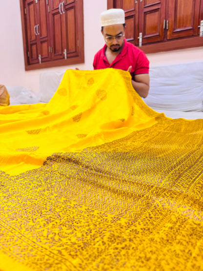 Pure Banarasi Raw Silk Saree