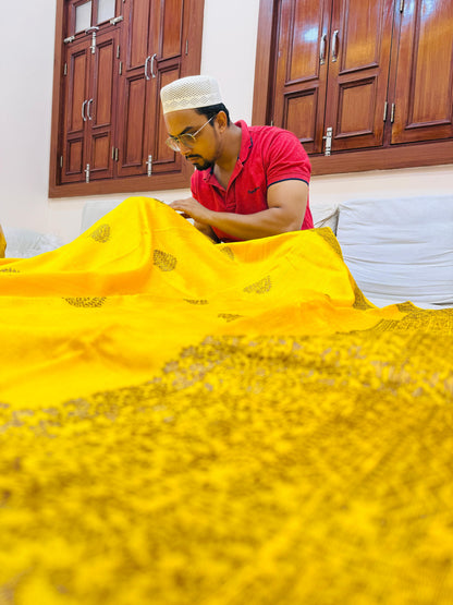 Pure Banarasi Raw Silk Saree